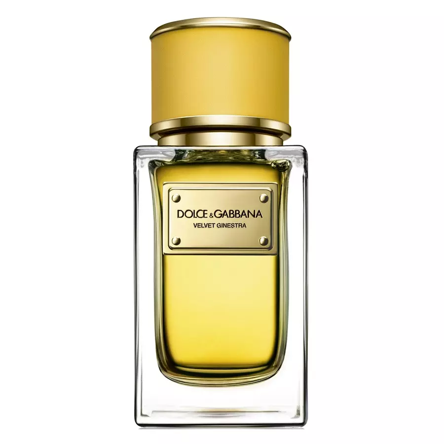 scentube Dolce-And-Gabbana-Velvet-Ginestra-Eau-De-Parfum-150ml-For-Women