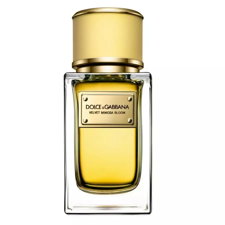 scentube Dolce-And-Gabbana-Velvet-Mimosa-Bloom-Eau-De-Parfum-150ml-For-Women